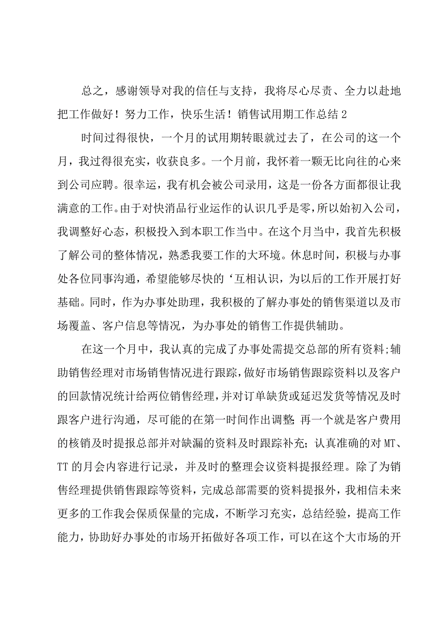 销售试用期工作总结.docx_第3页