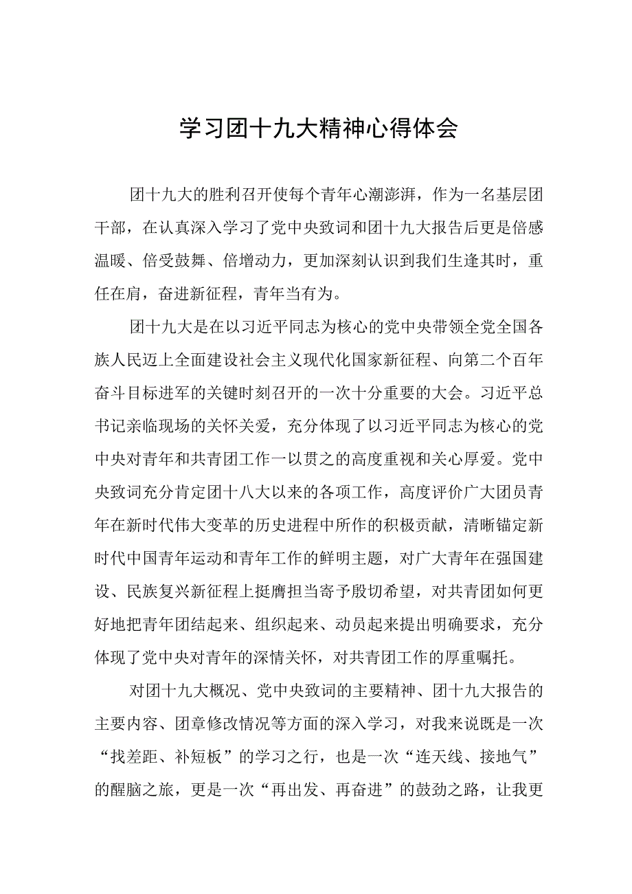 2023年学习团十九大精神心得体会.docx_第1页