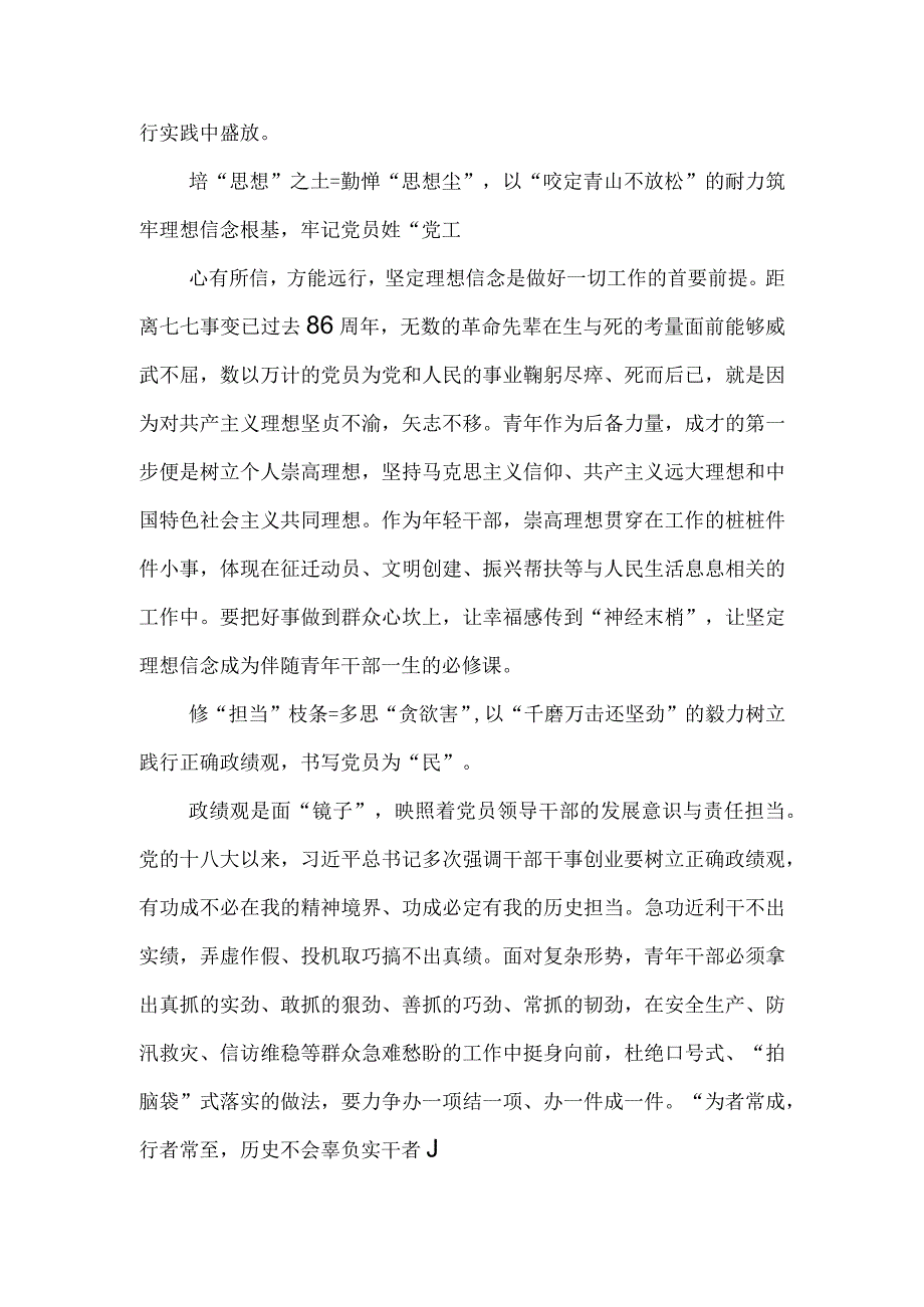 2023党的建设的重要思想心得体会十篇.docx_第3页