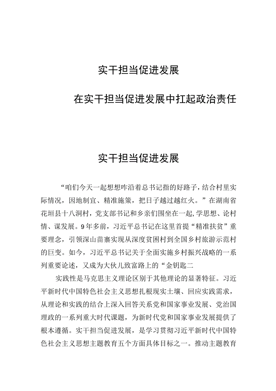 2023下半年主题教育“实干担当促进发展”专题学习心得体会感想研讨发言材料2篇.docx_第1页