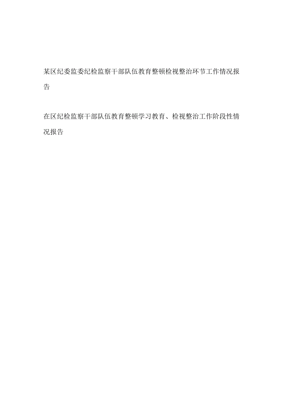 2023区纪委监委纪检监察干部队伍教育整顿检视整治环节工作情况报告汇报.docx_第1页