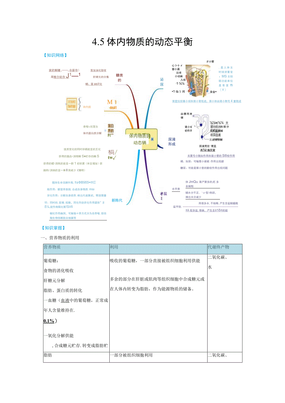 4.5 体内物质的动态平衡 （1）公开课.docx_第1页