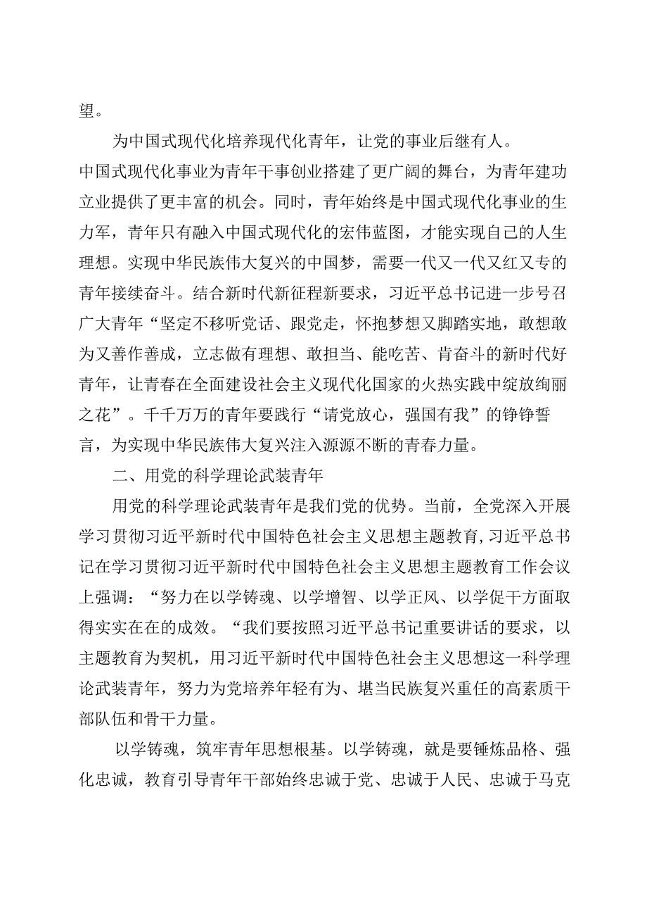 做好青年工作党课讲稿主题教育年轻干部队伍建设.docx_第3页