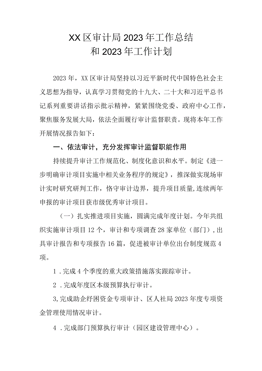 XX区审计局2022年工作总结和2023年工作计划.docx_第1页