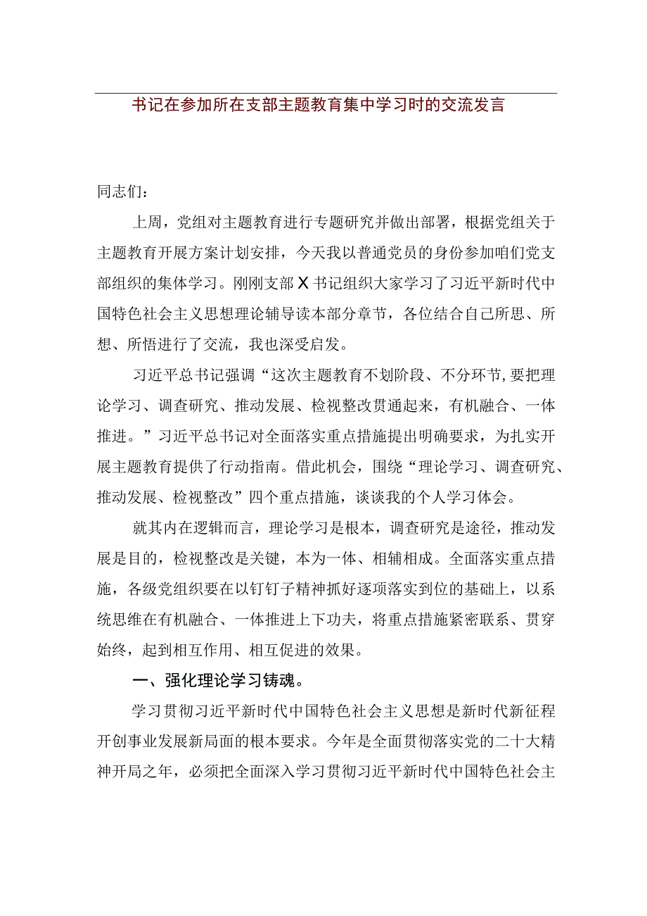 【优质公文模板】书记在参加所在支部主题教育集中学习时的交流发言【精品资料】.docx_第1页