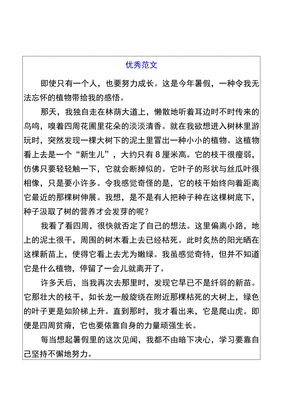 五升六暑假习作【暑假见闻】优秀范文.docx_第1页