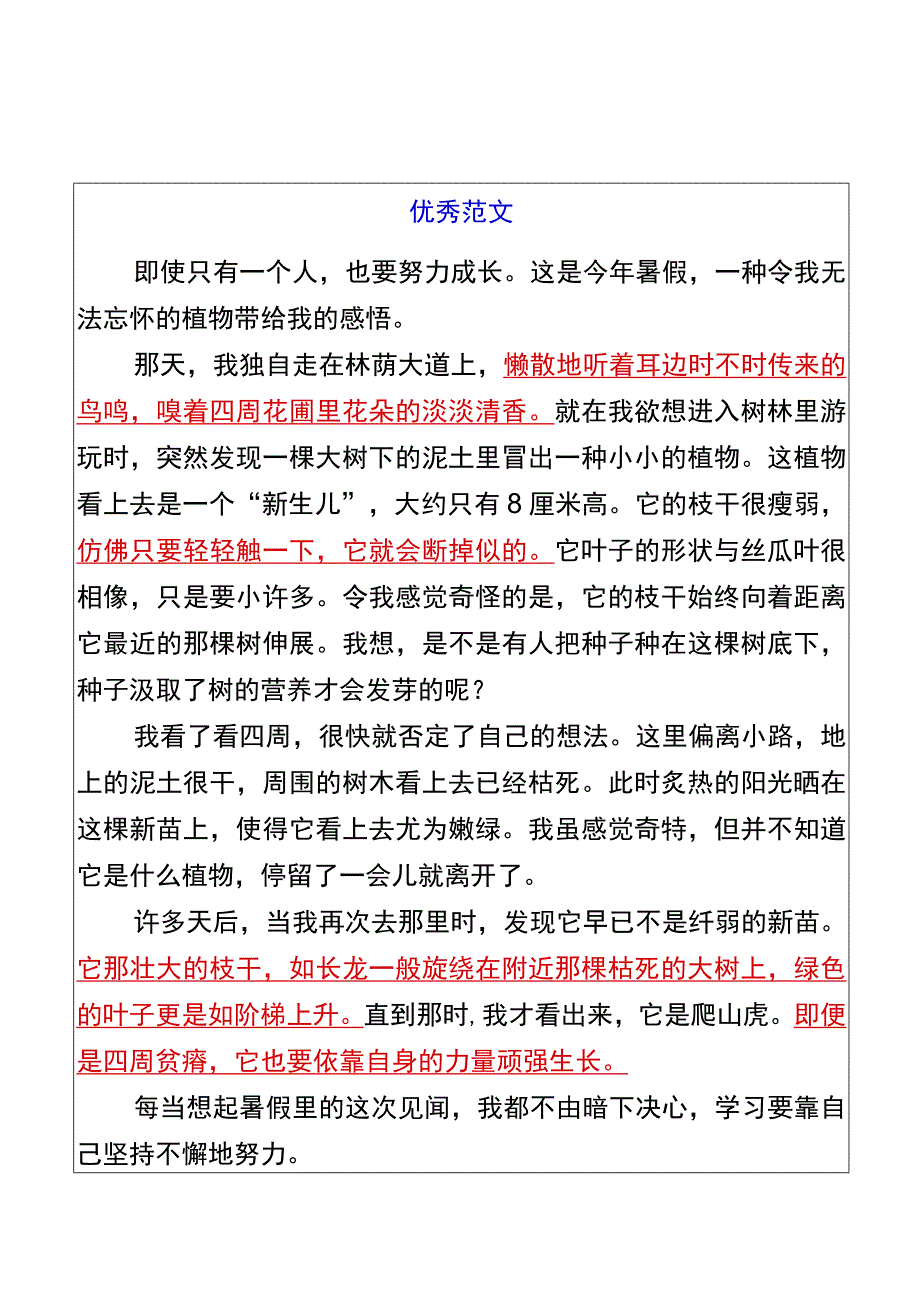 五升六暑假习作【暑假见闻】优秀范文.docx_第2页