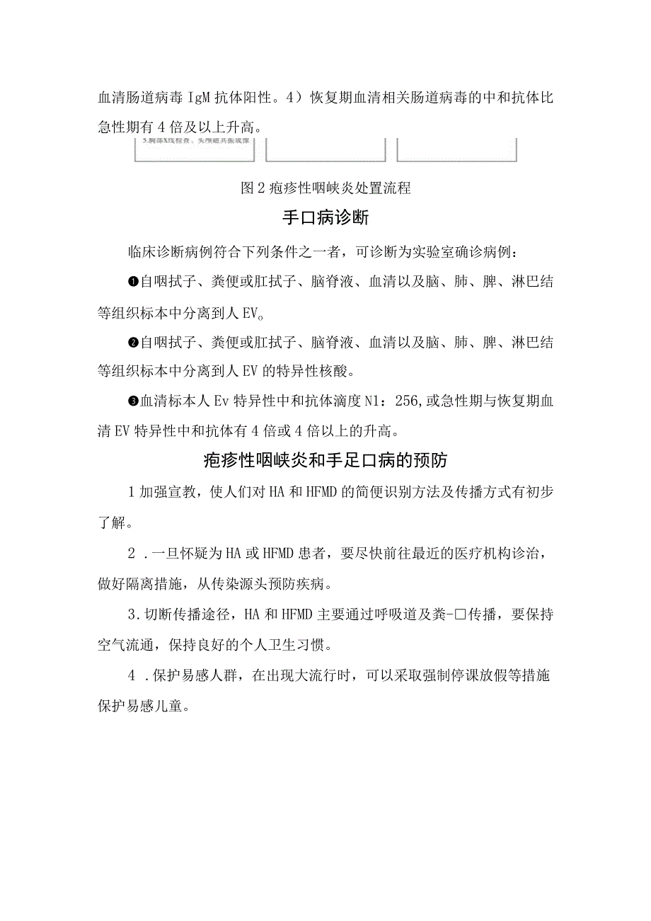 临床疱疹性咽峡炎、手足口病病原学、鉴别、肠道病毒检测方法、诊断及预防.docx_第3页