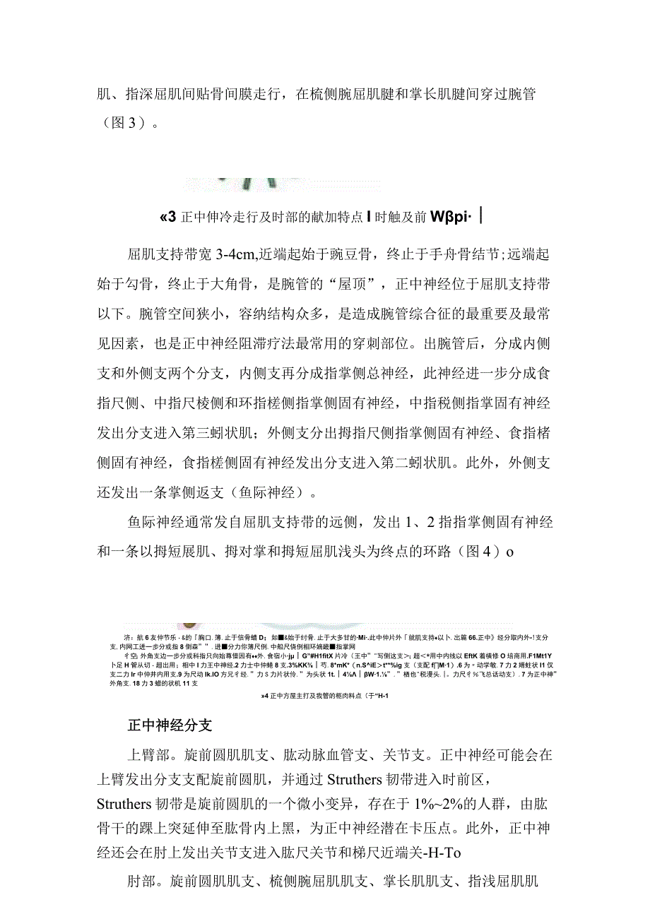 临床正中神经作用、解剖学特点、正中神经卡压、正中神经阻滞疗法机制适应证和禁忌证、治疗方法、阻滞药物及射频技术、并发症、效果评定、.docx_第3页