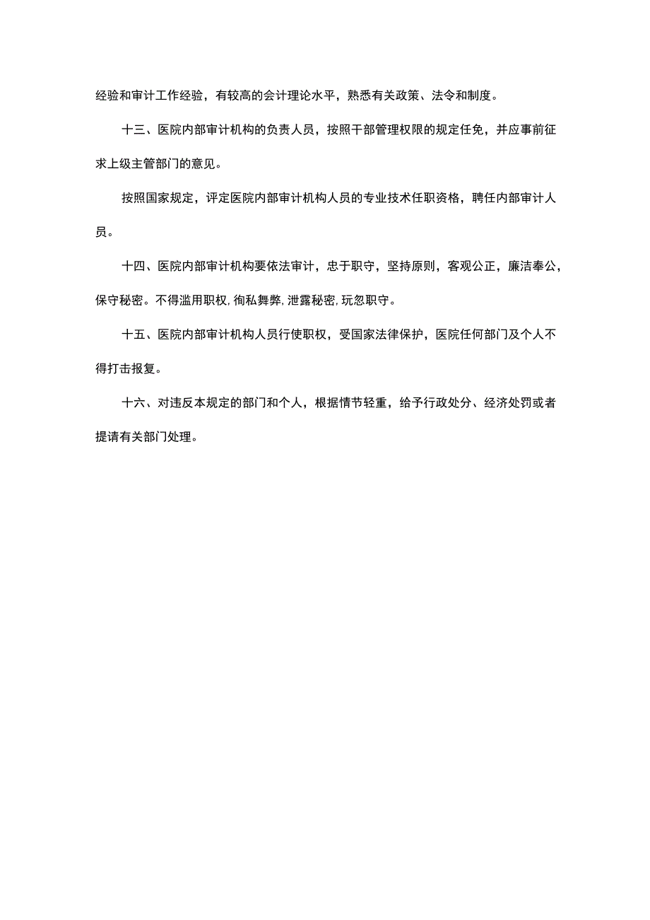 医院内部审计工作制度.docx_第3页