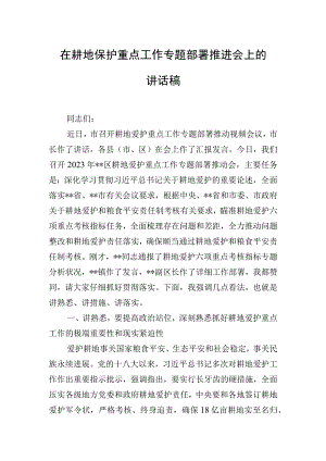 在耕地保护重点工作专题部署推进会上的讲话稿.docx