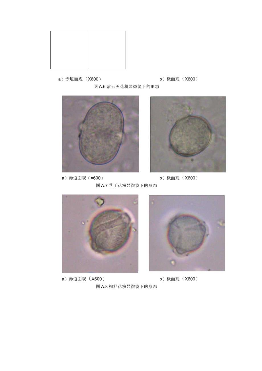 常见蜜源植物花粉形态.docx_第3页