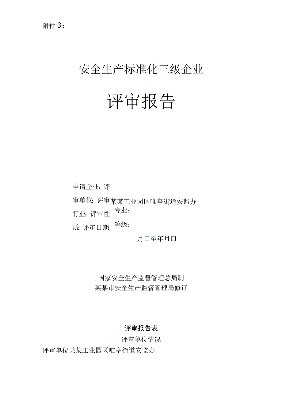 安全生产标准化评审报告.docx_第1页