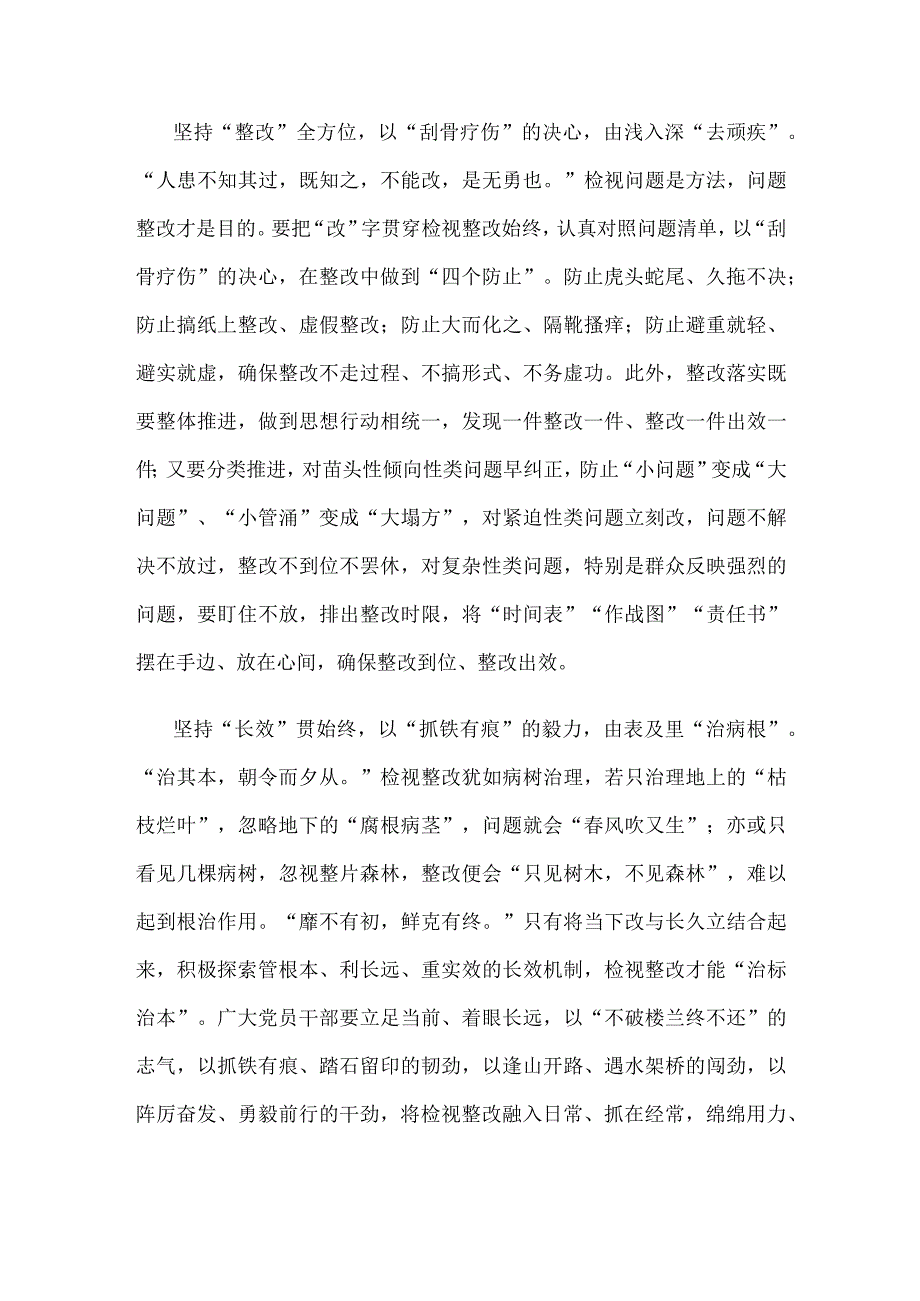 学习在四川考察时重要讲话抓好主题教育检视整改心得体会.docx_第2页