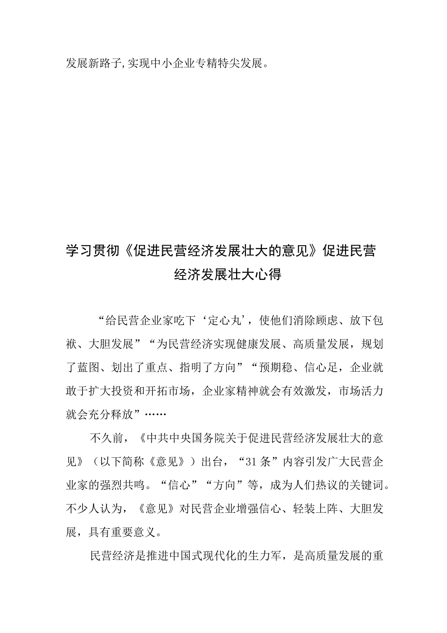 学习贯彻《关于促进民营经济发展壮大的意见》感悟心得发言材料4篇.docx_第3页