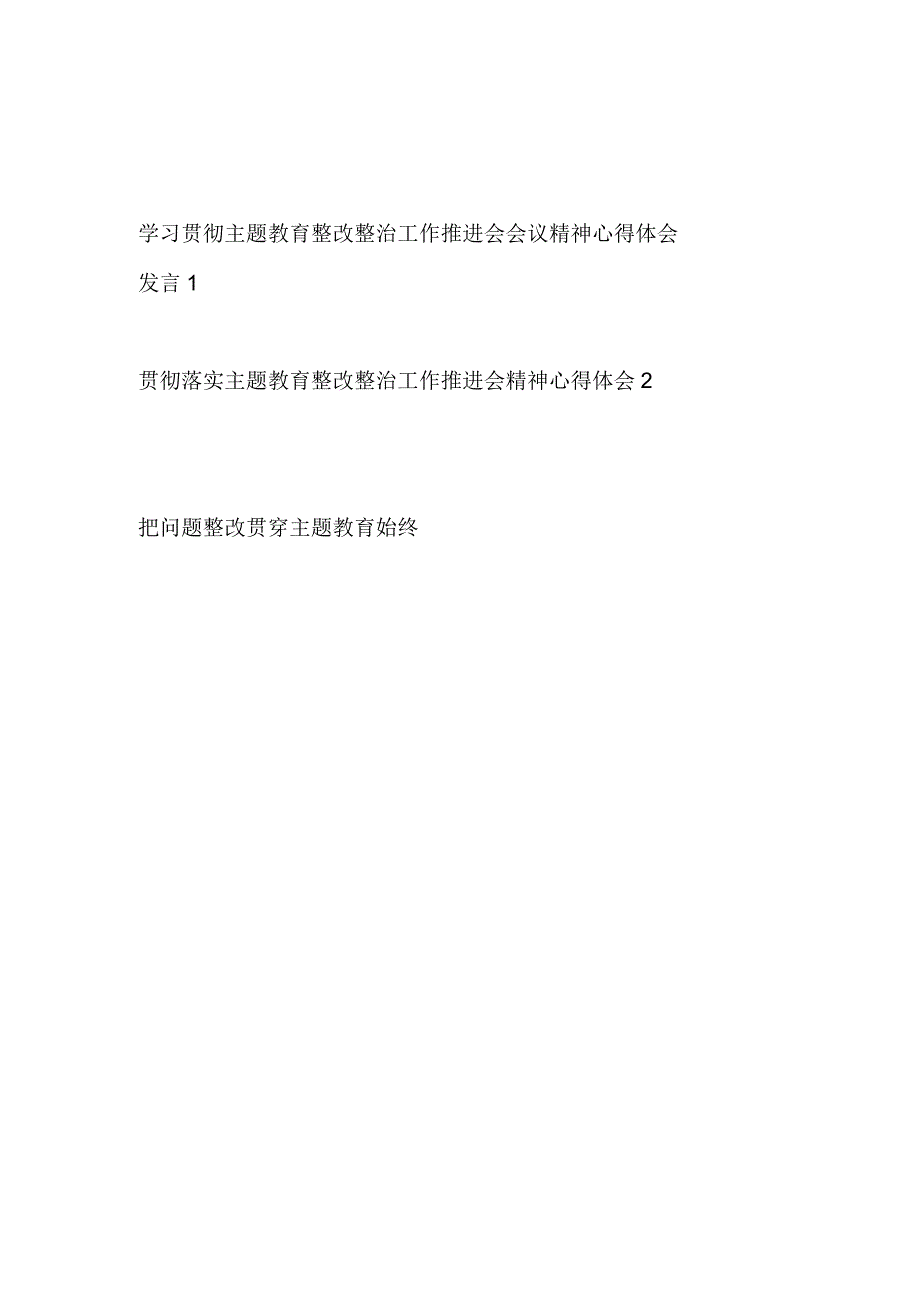 学习贯彻落实主题教育整改整治工作推进会精神心得体会研讨发言2篇.docx_第1页