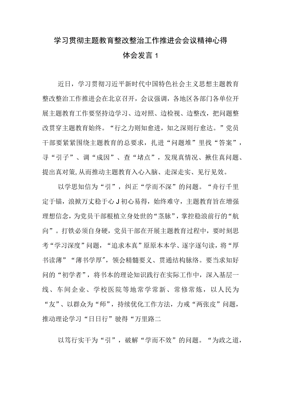 学习贯彻落实主题教育整改整治工作推进会精神心得体会研讨发言2篇.docx_第2页