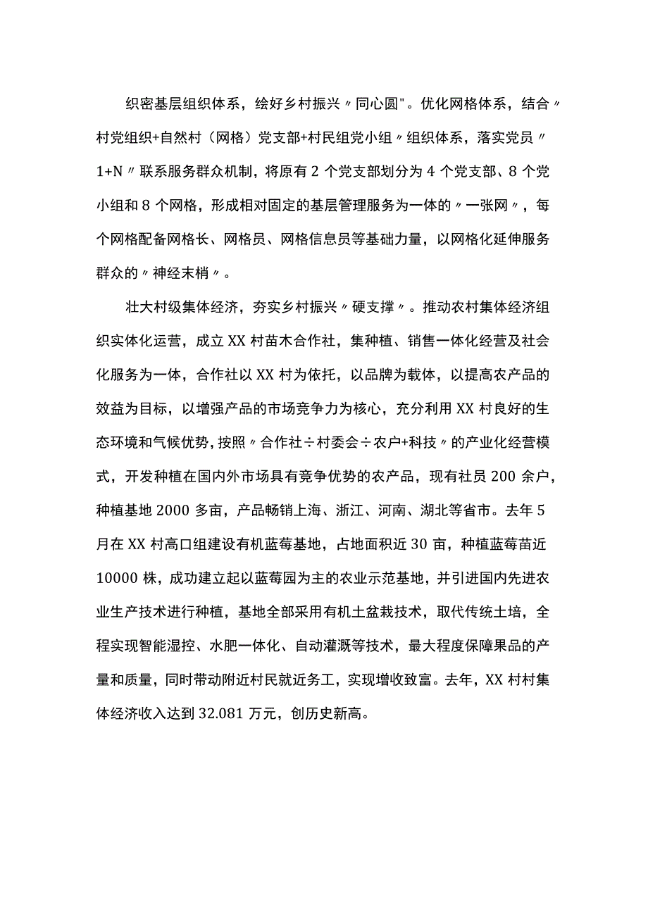 多点发力筑牢乡村组织振兴基石.docx_第2页