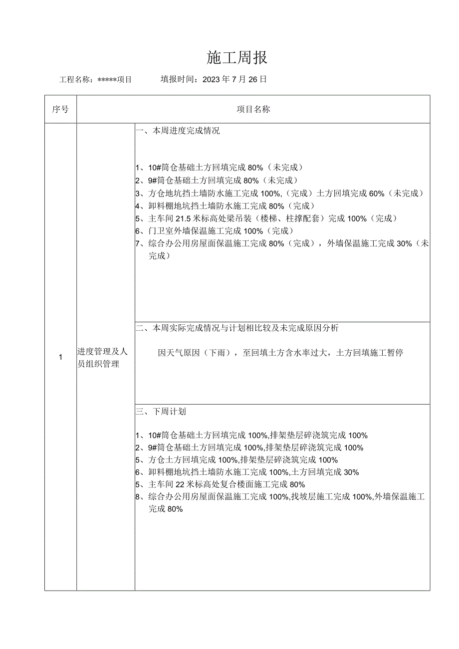 建筑施工项目周报（模板）.docx_第3页