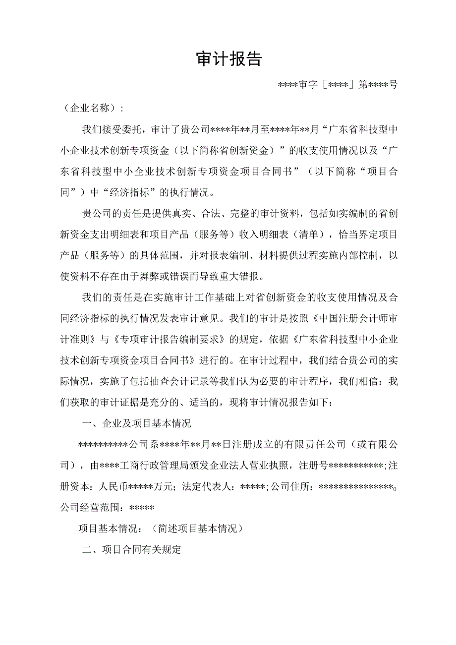 广东省创新资金项目专项审计报告参考样式.docx_第2页