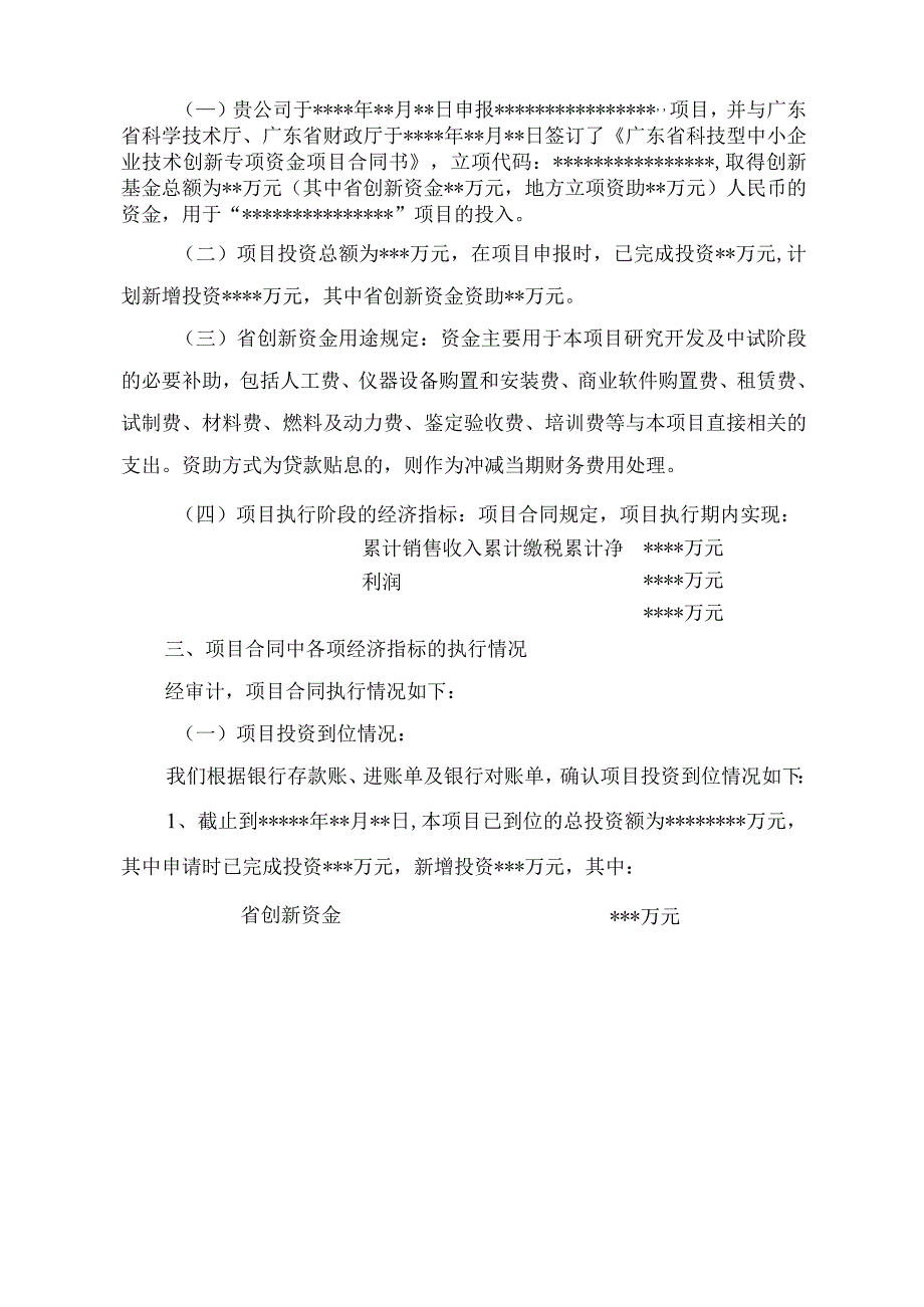 广东省创新资金项目专项审计报告参考样式.docx_第3页