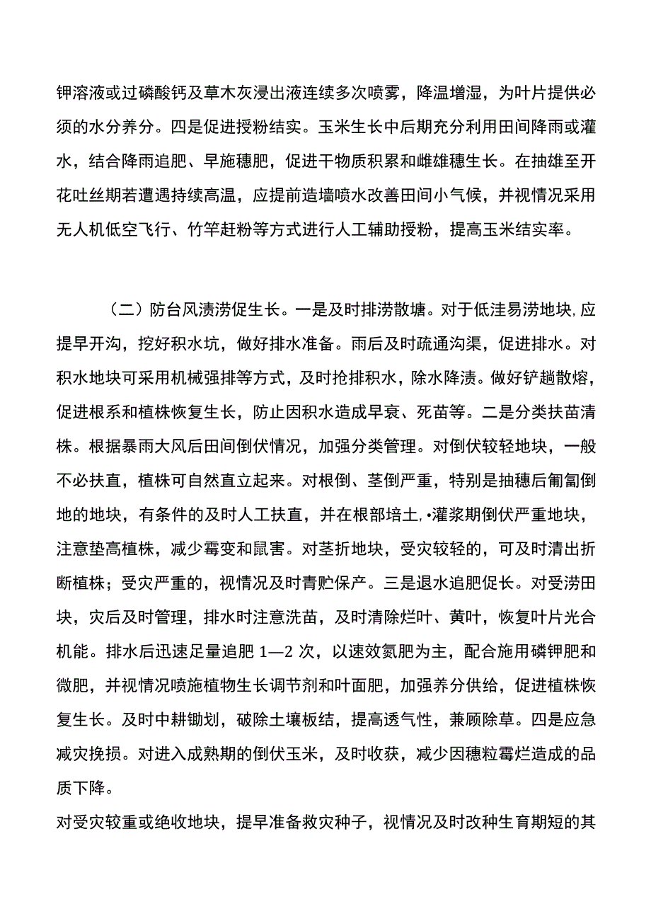 集团公司玉米中后期防灾减灾促生长技术指导意见.docx_第3页