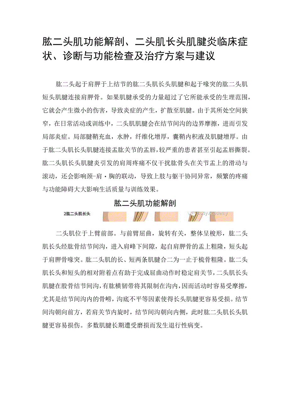 肱二头肌功能解剖、二头肌长头肌腱炎临床症状、诊断与功能检查及治疗方案与建议.docx_第1页