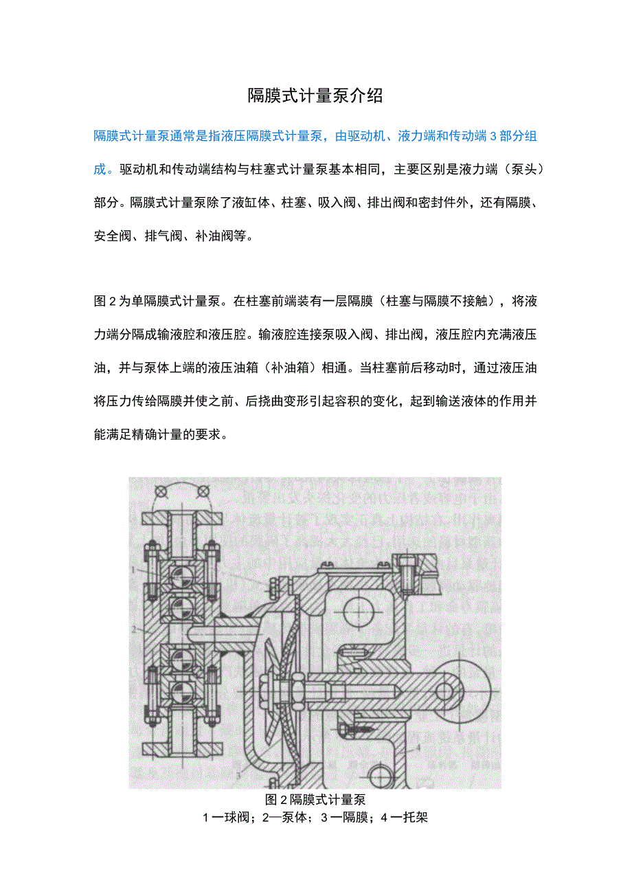 隔膜式计量泵介绍.docx_第1页