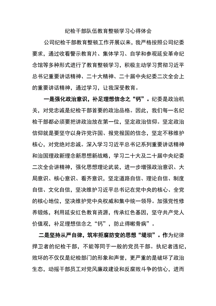 纪检干部队伍教育整顿学习心得体会.docx_第1页