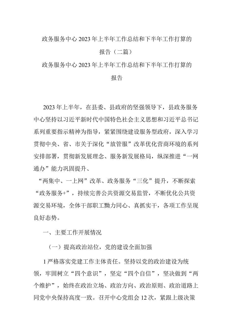 政务服务中心2023年上半年工作总结和下半年工作打算的报告(二篇).docx_第1页