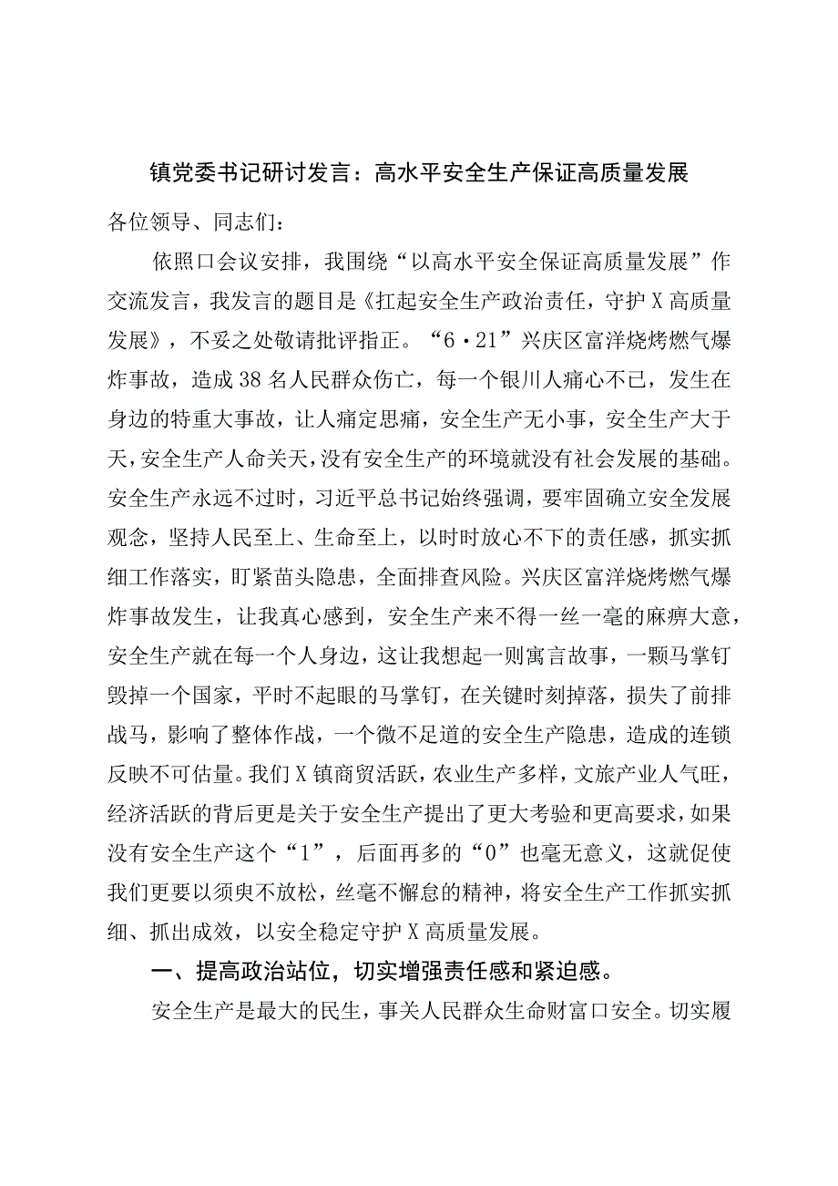 镇党委书记研讨发言：高水平安全生产保障高质量发展.docx_第1页