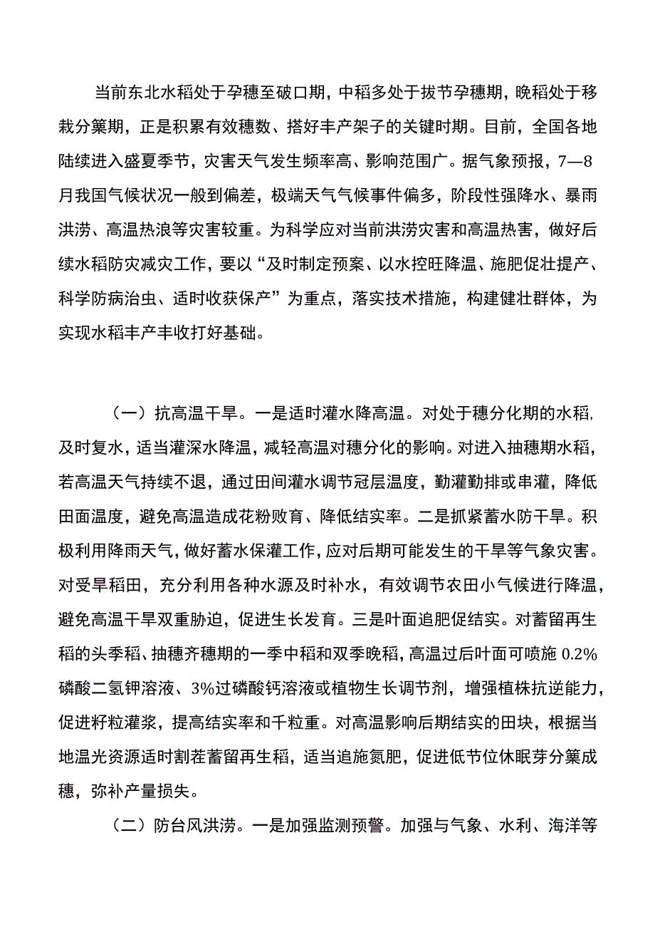 集团公司水稻中后期防灾减灾促生长技术指导意见.docx_第2页