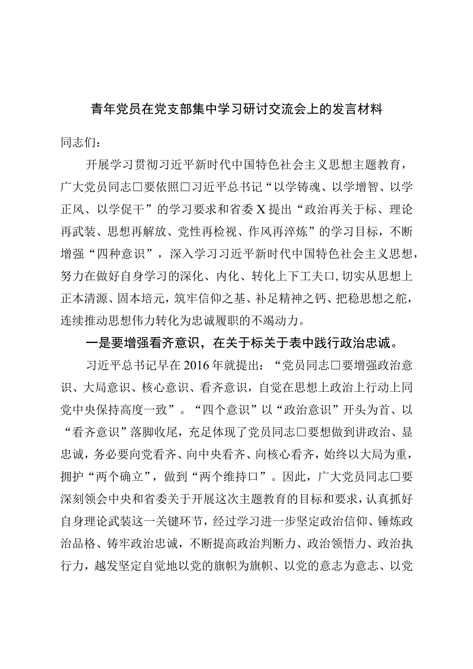 青年党员在党支部集中学习研讨交流会上的发言材料.docx_第1页