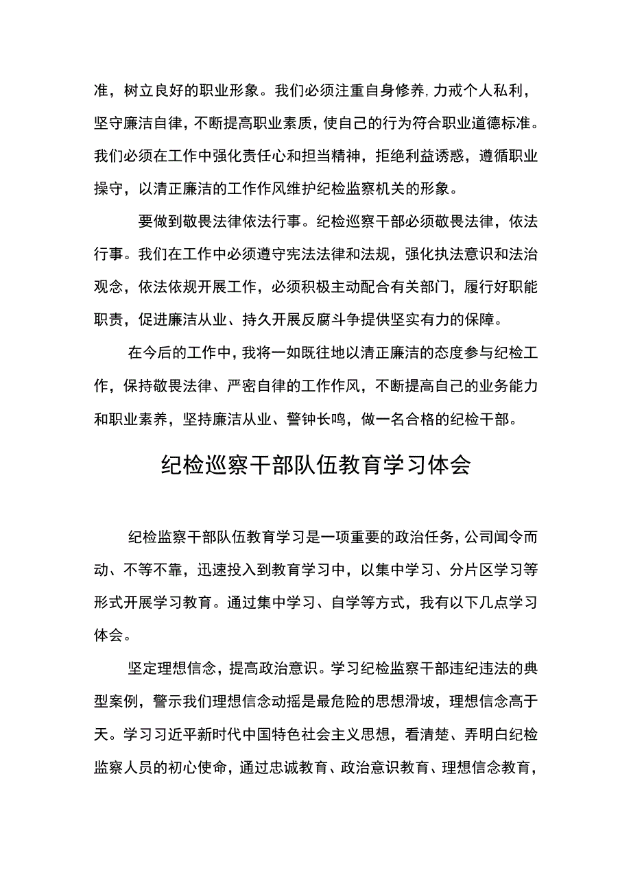 纪检巡察干部队伍教育学习体会.docx_第3页