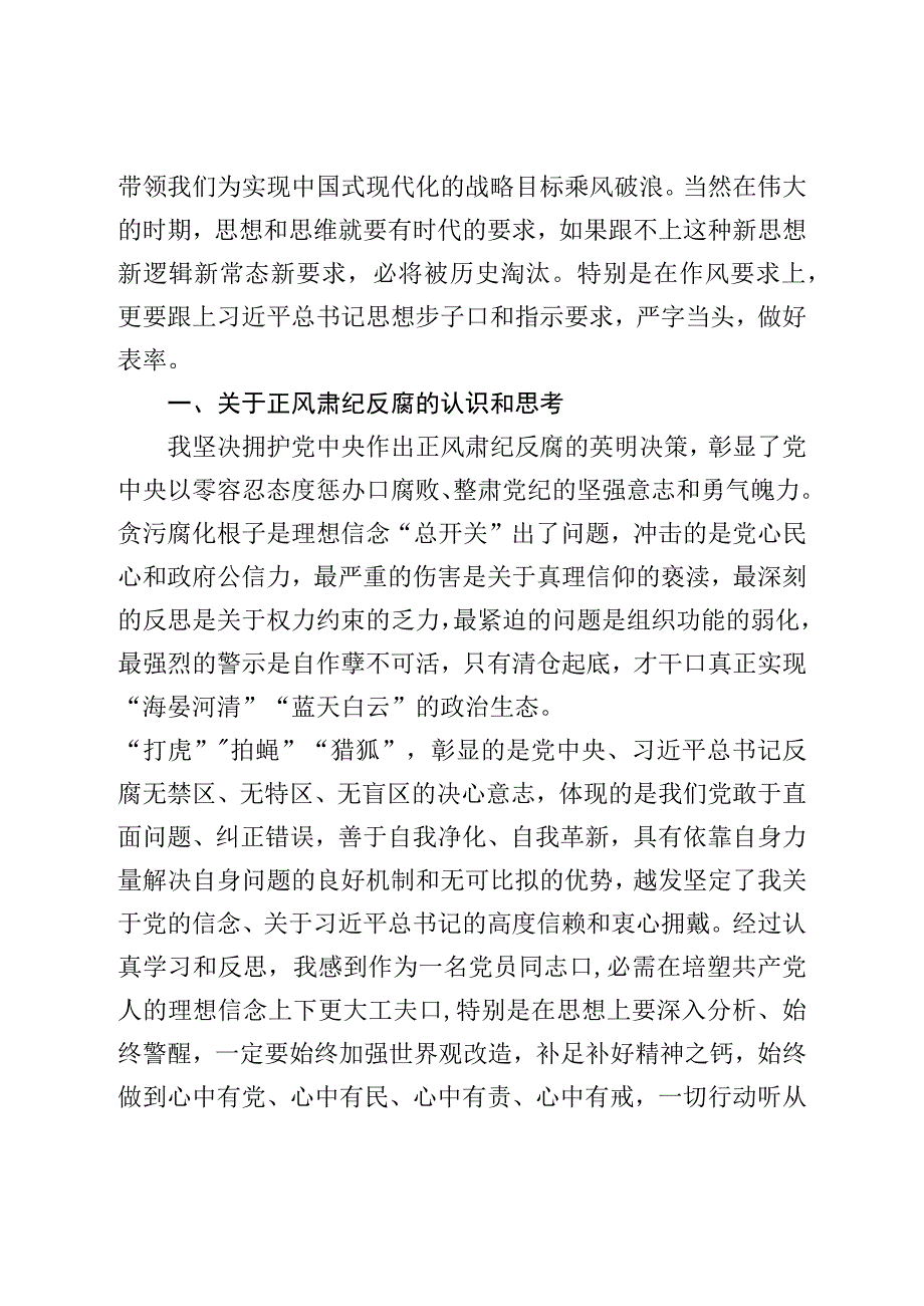 正风肃纪专题教育整顿对照检查材料.docx_第2页