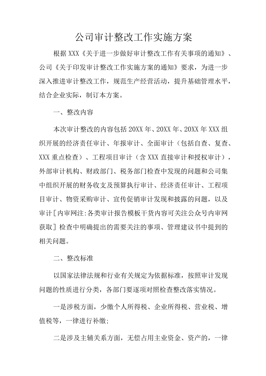 公司审计整改工作实施方案.docx_第1页