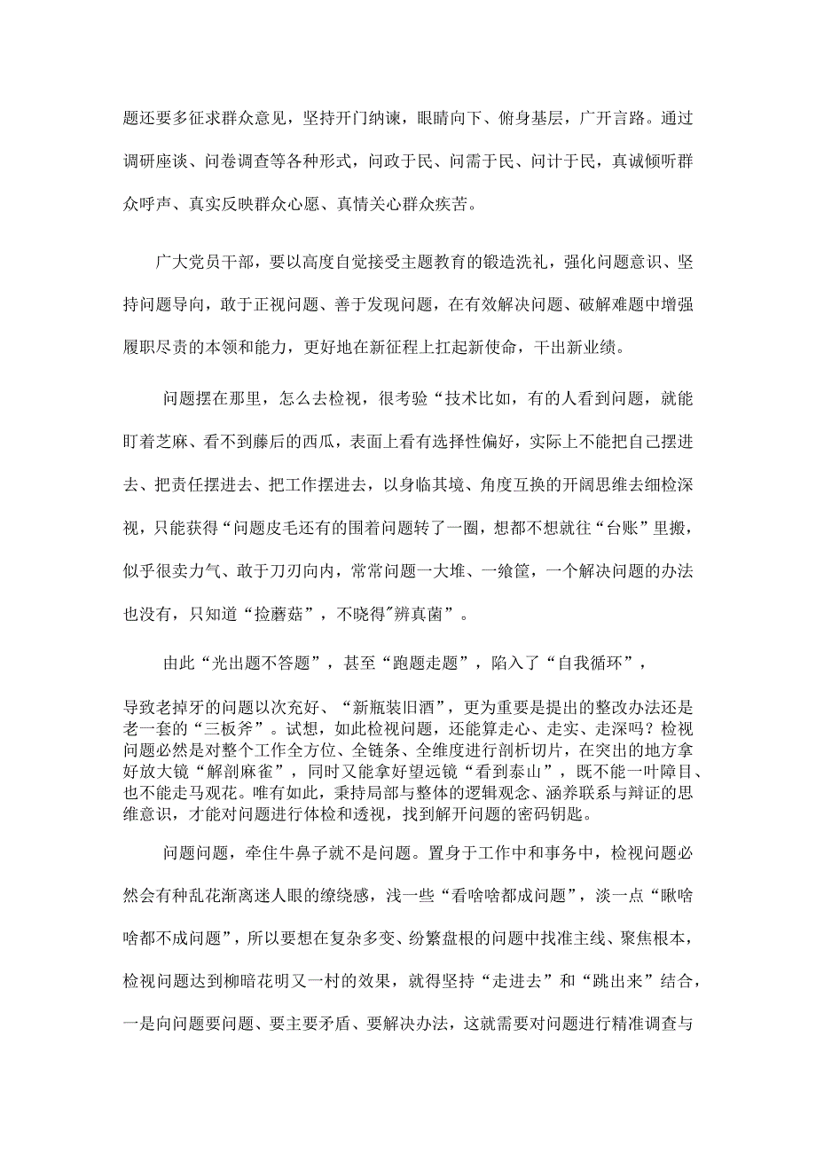 主题教育问题检视心得体会发言.docx_第2页