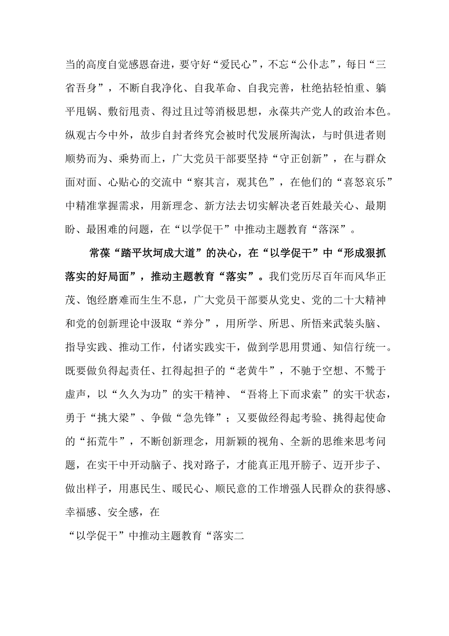 2023年开展第二批主题教育重实践以学促干专题学习心得体会研讨发言10篇.docx_第3页