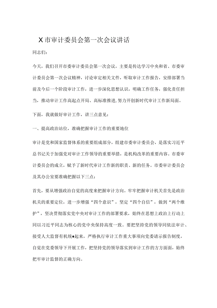 X市审计委员会第一次会议讲话.docx_第1页