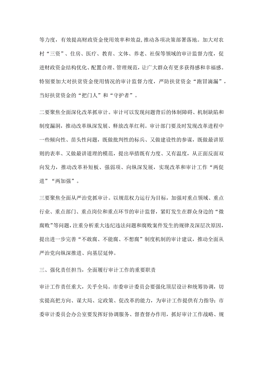 X市审计委员会第一次会议讲话.docx_第3页