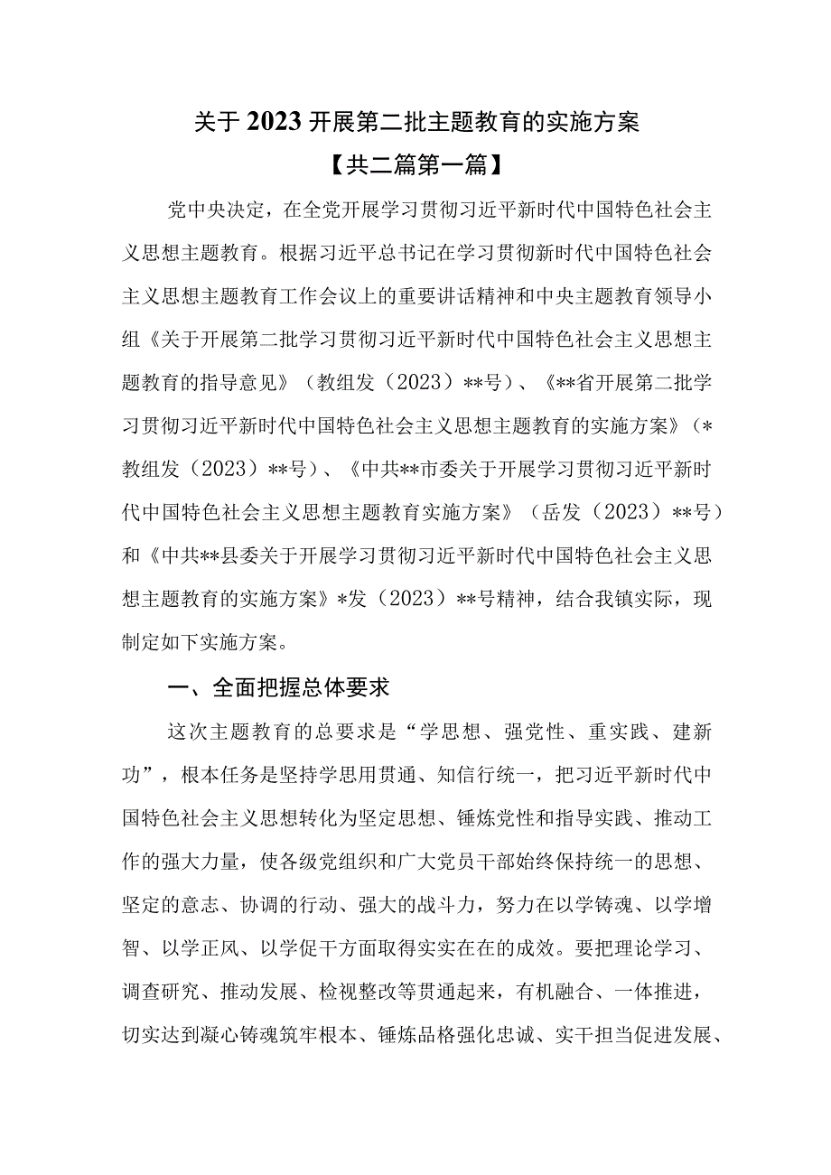 2篇关于2023开展第二批主题教育的实施方案.docx_第1页