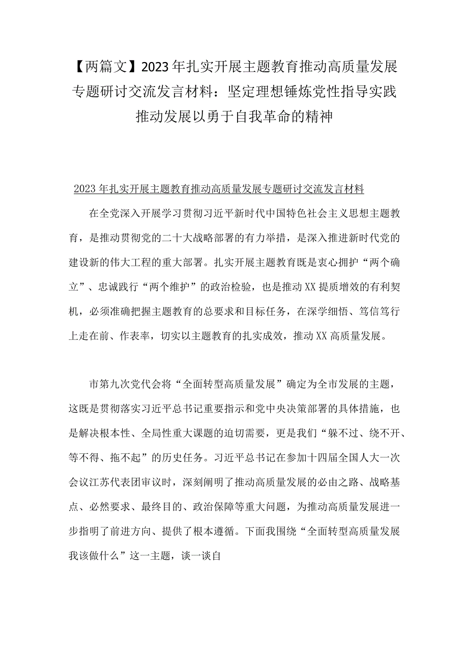 两篇文2023年扎实开展主题教育推动高质量发展专题研讨交流发言材料：坚定理想锤炼党性指导实践推动发展以勇于自我革命的精神.docx_第1页