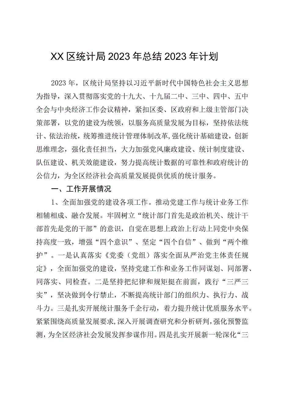 XX区统计局2023年总结2023年计划.docx_第1页