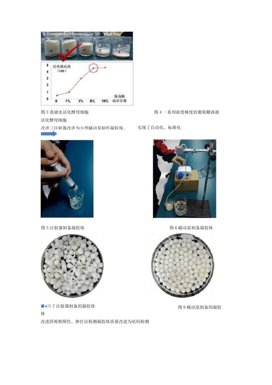 《酵母细胞的固定化》说课稿全国实验说课大赛获奖案例.docx_第3页