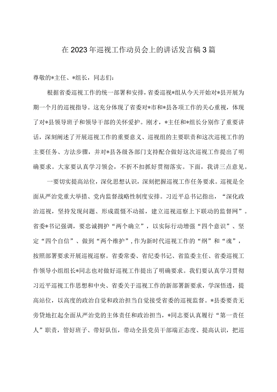 在2023年巡视工作动员会上的讲话发言稿3篇.docx_第1页