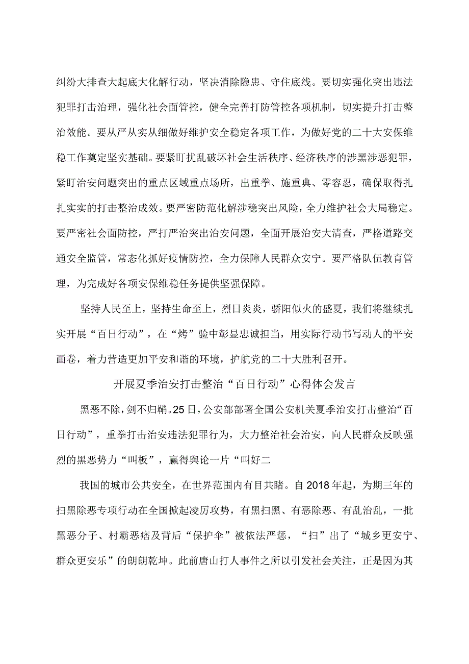 开展夏季治安打击整治百日行动心得体会4篇含工作方案及汇报总结.docx_第3页