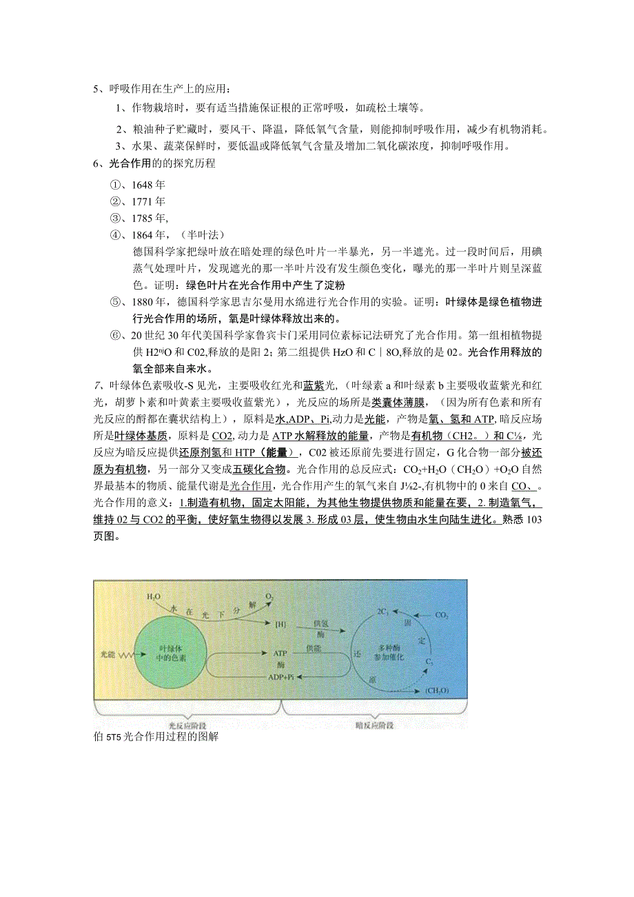 呼吸作用与光合作用测试练习题.docx_第2页