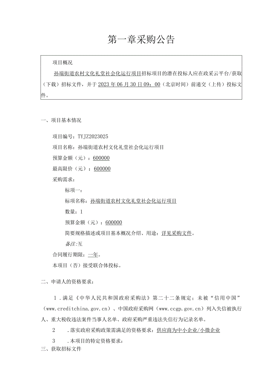 农村文化礼堂社会化运行项目招标文件.docx_第3页