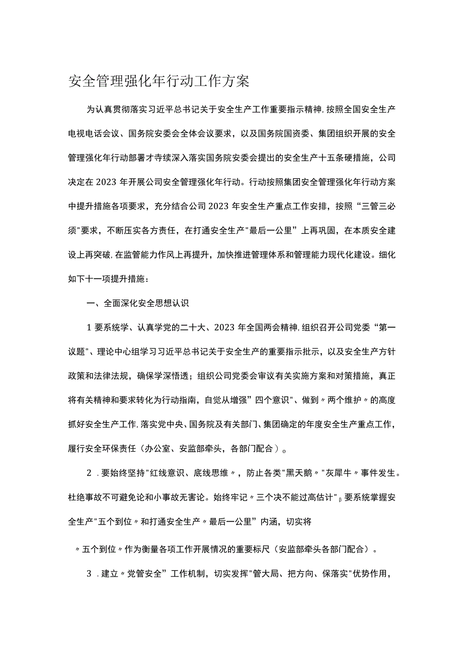 安全管理强化年行动工作方案.docx_第1页