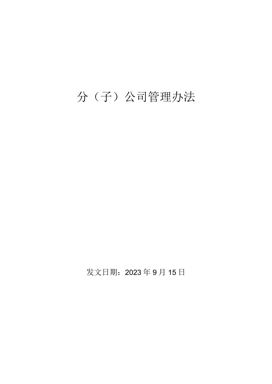 分子公司管理办法.docx_第1页